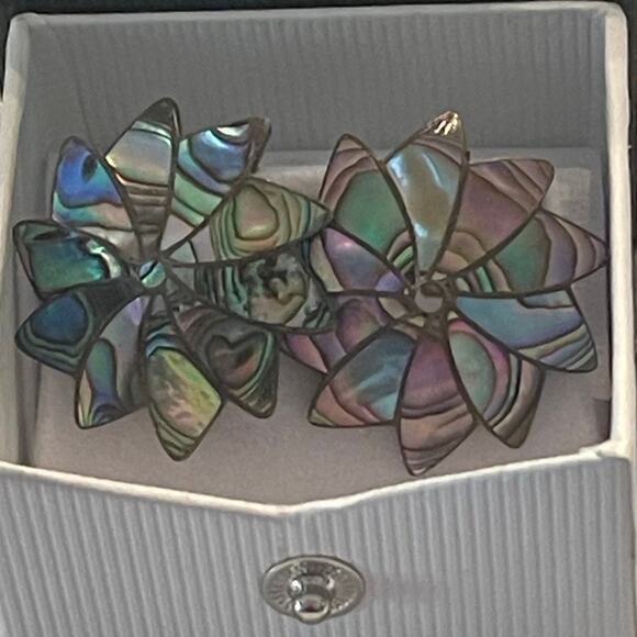 Abalone and Alpaca silver screwback vintage earrings - Picture 2 of 12